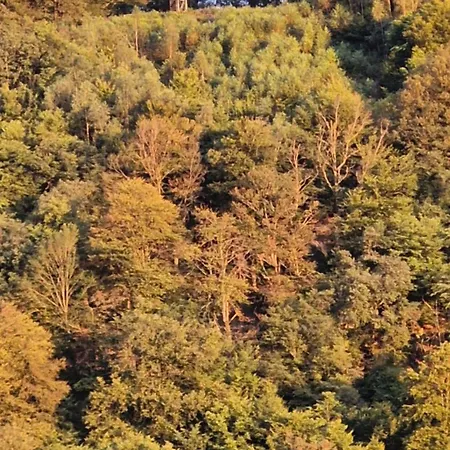 Sweet Semois Appartement Vresse-sur-Semois