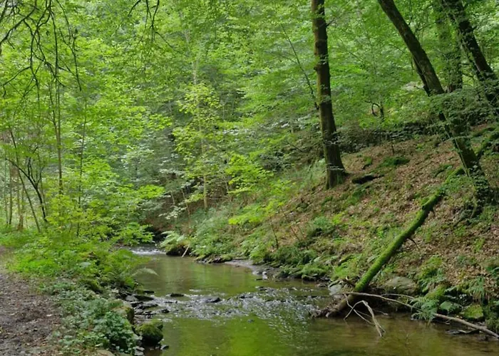 Sweet Semois Apartamento Vresse-sur-Semois